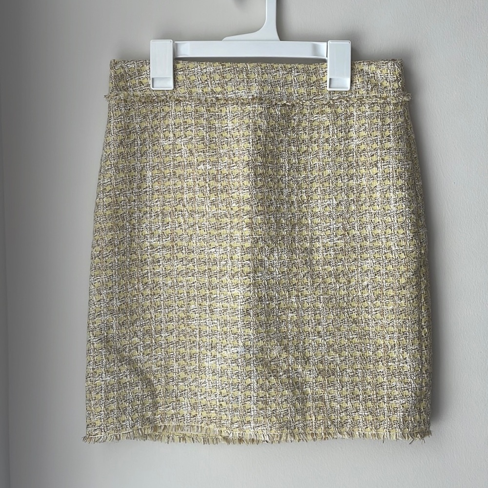 ANN TAYLOR petite skirt